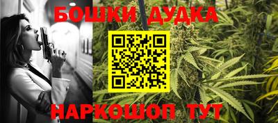 шишки Шахты
