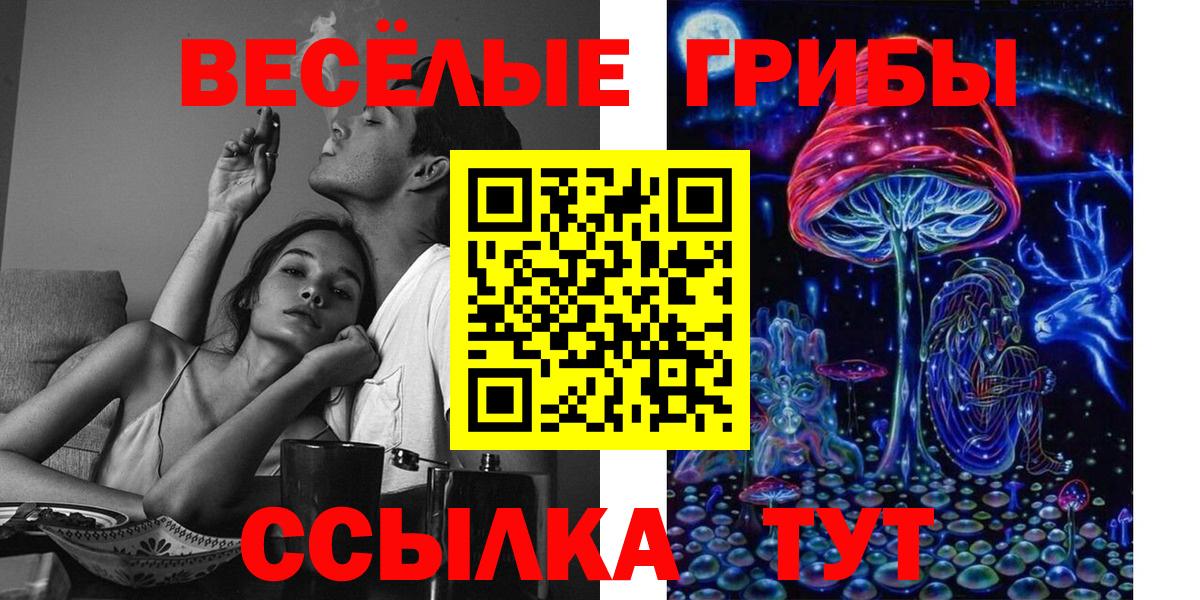 Галлюциногенные грибы Psilocybe Чехов